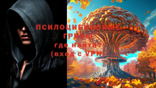 соль ск Няндома