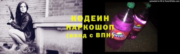 соль ск Няндома