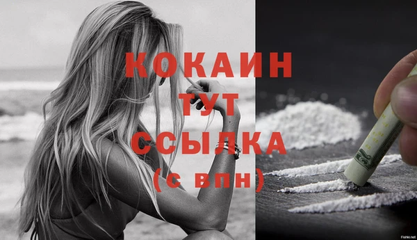 крисы Осинники